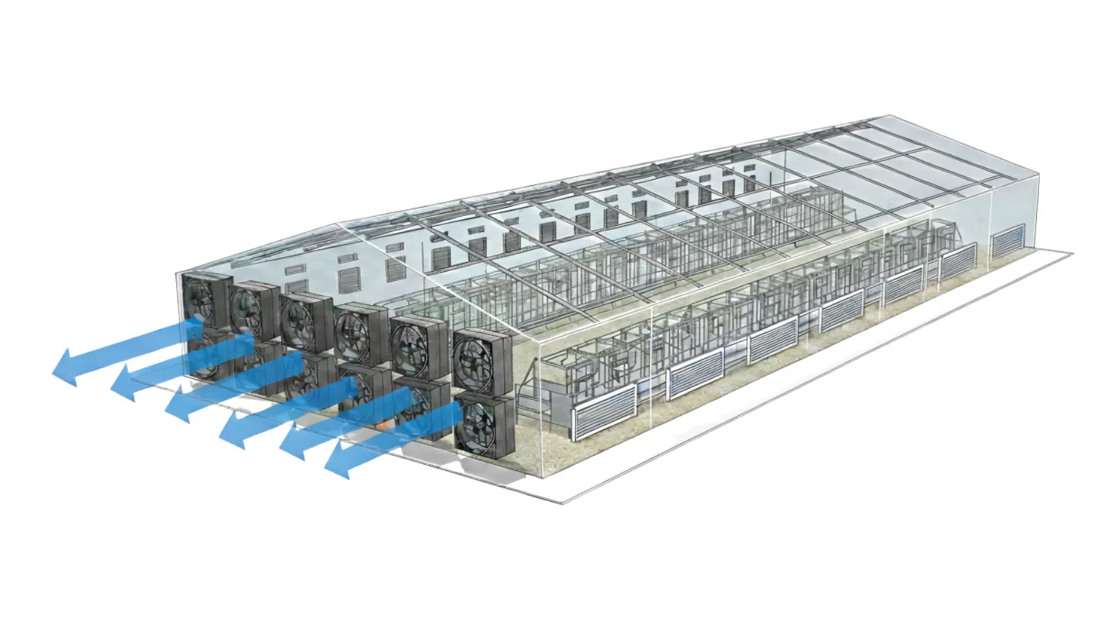 Stress-Free Animal Growth on a Chicken Farm (1/1)
